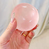 Coconut Oil Stress Relief Toy