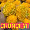 Fruit Sensory Stress Ball