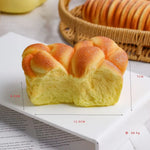 Cartoon Bread Decompression Model