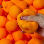 Fruit Sensory Stress Ball