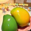 Crispy Mango Stress Ball Fidget Toy