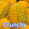 Fruit Sensory Stress Ball